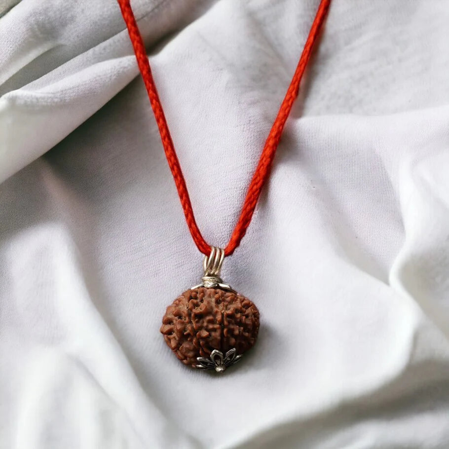 10 Mukhi Nepali Rudraksha