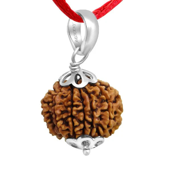 11 Mukhi Nepali Rudraksha