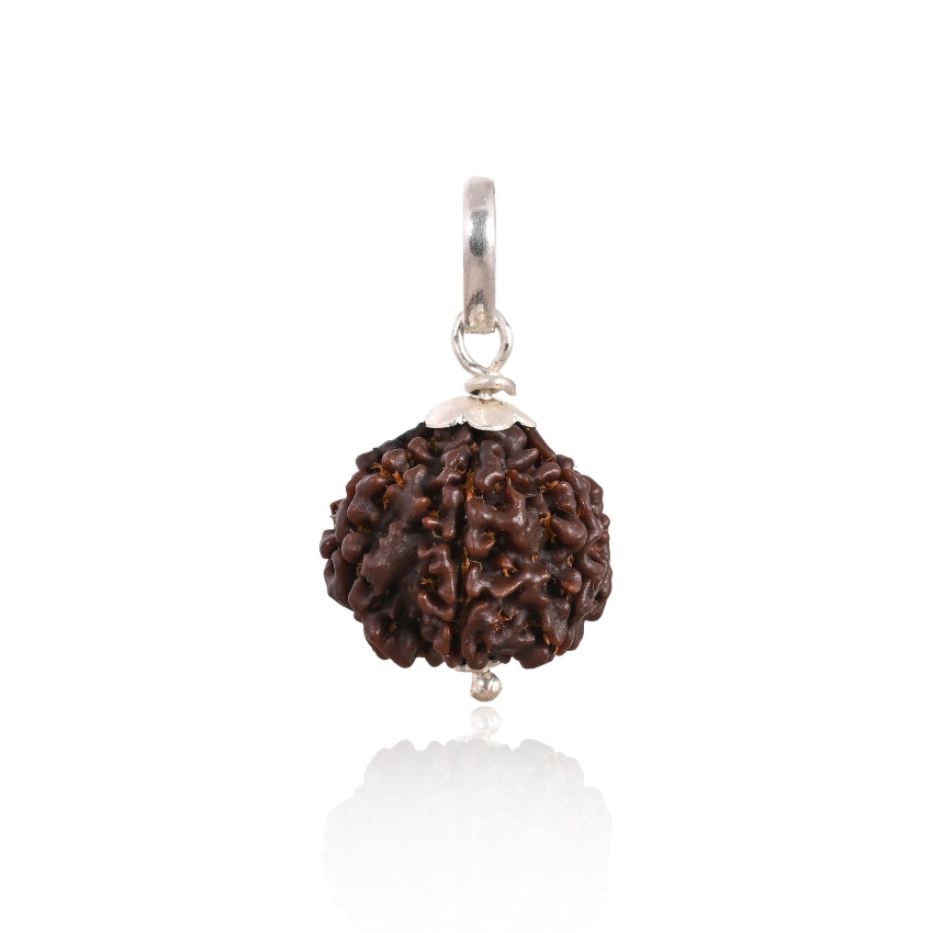 6 Mukhi Nepali Rudraksha