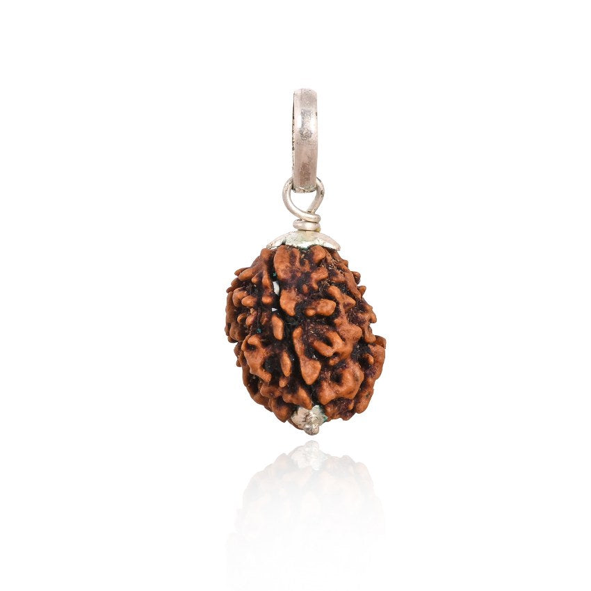 3 Mukhi Nepali Rudraksha