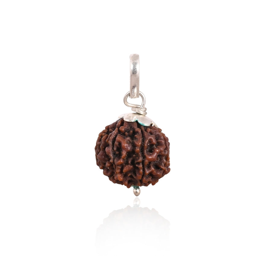 Natural 7 Mukhi Nepali Rudraksha - Saat Mukhi