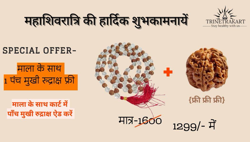 Natural Sphatik Rudraksha Mala(अभिंमत्रित & ब्रह्मगांठ ) 108 Beads with lab testing Report